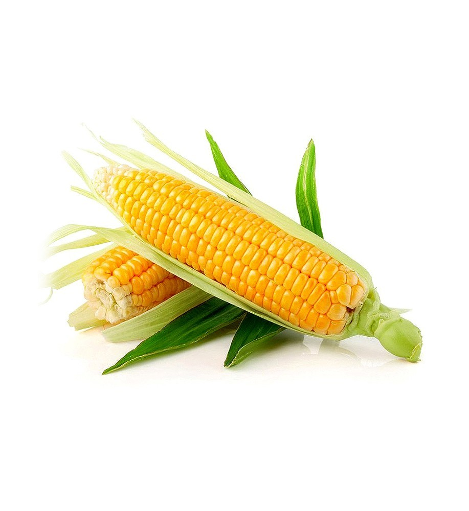 Product10