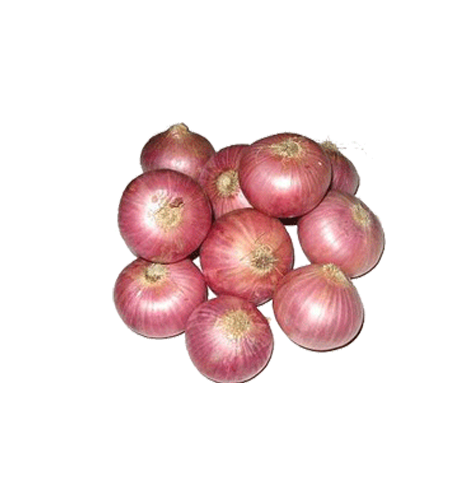 Product18